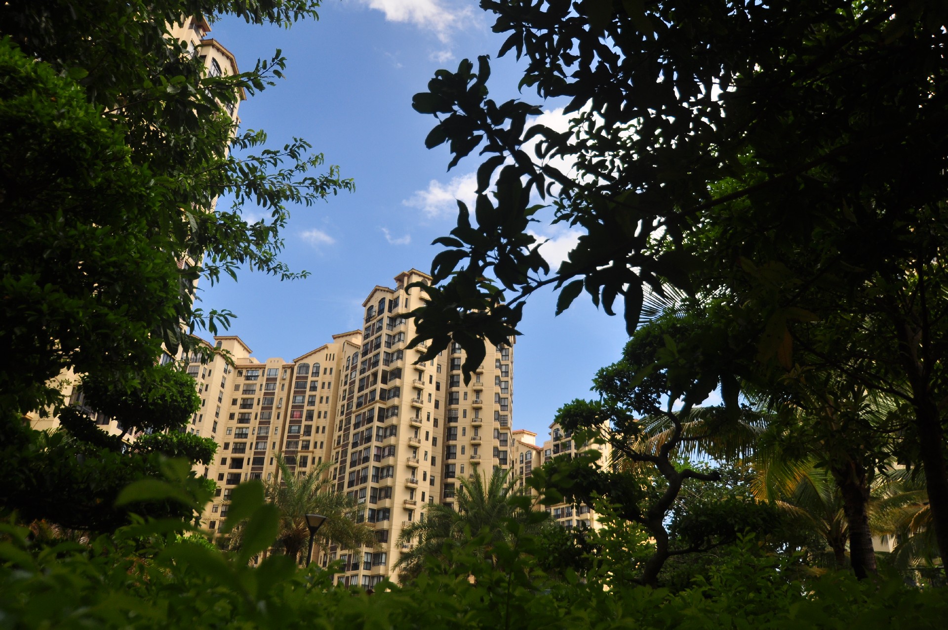 欧美性猛交XXXX乱大交3