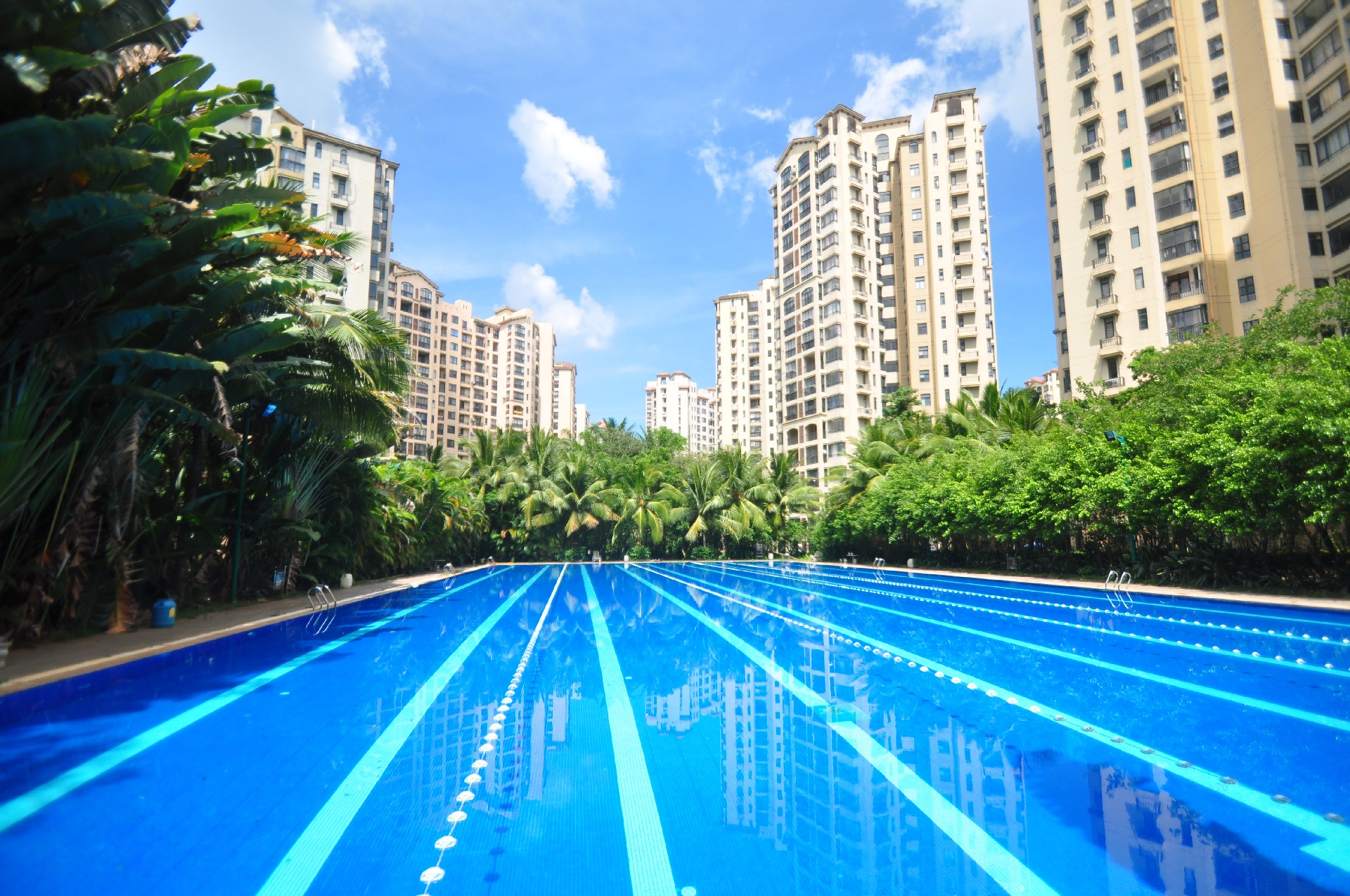 欧美性猛交XXXX乱大交3