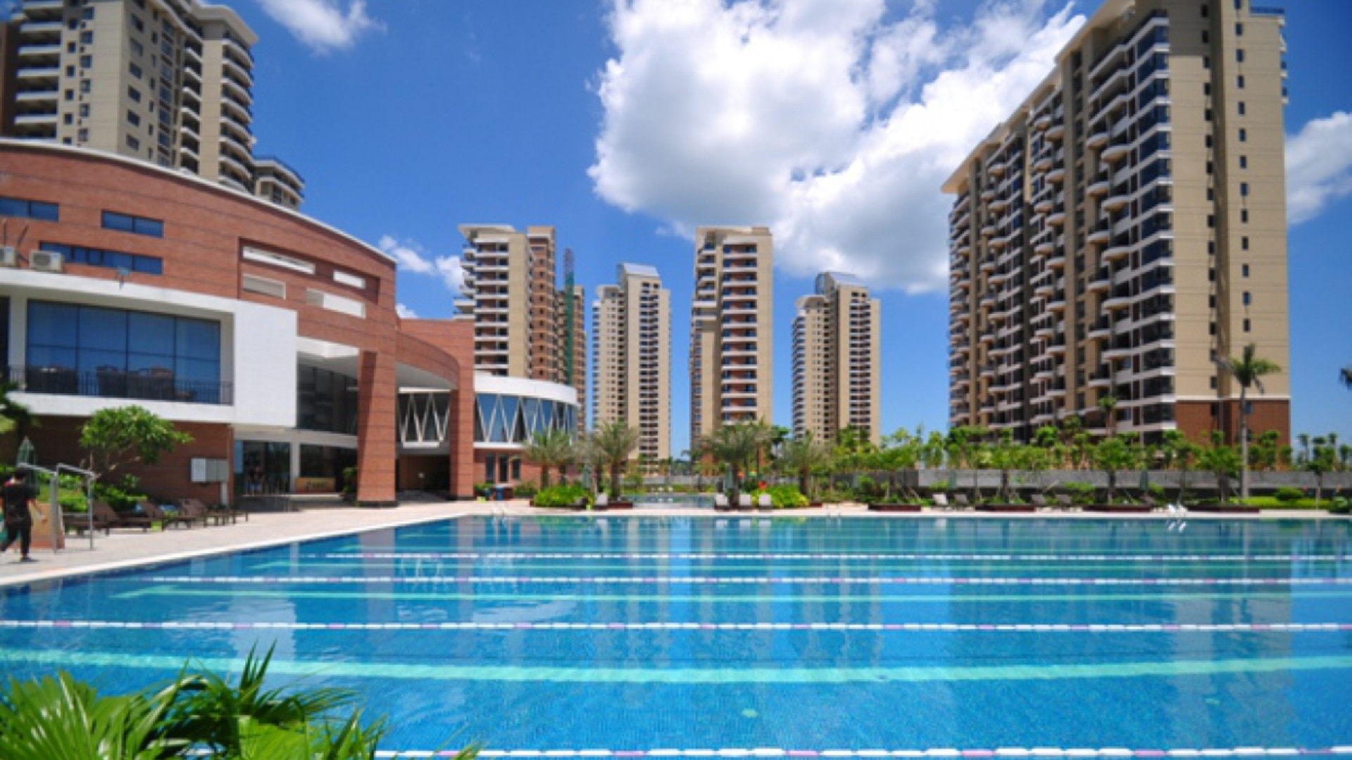 欧美性猛交XXXX乱大交3