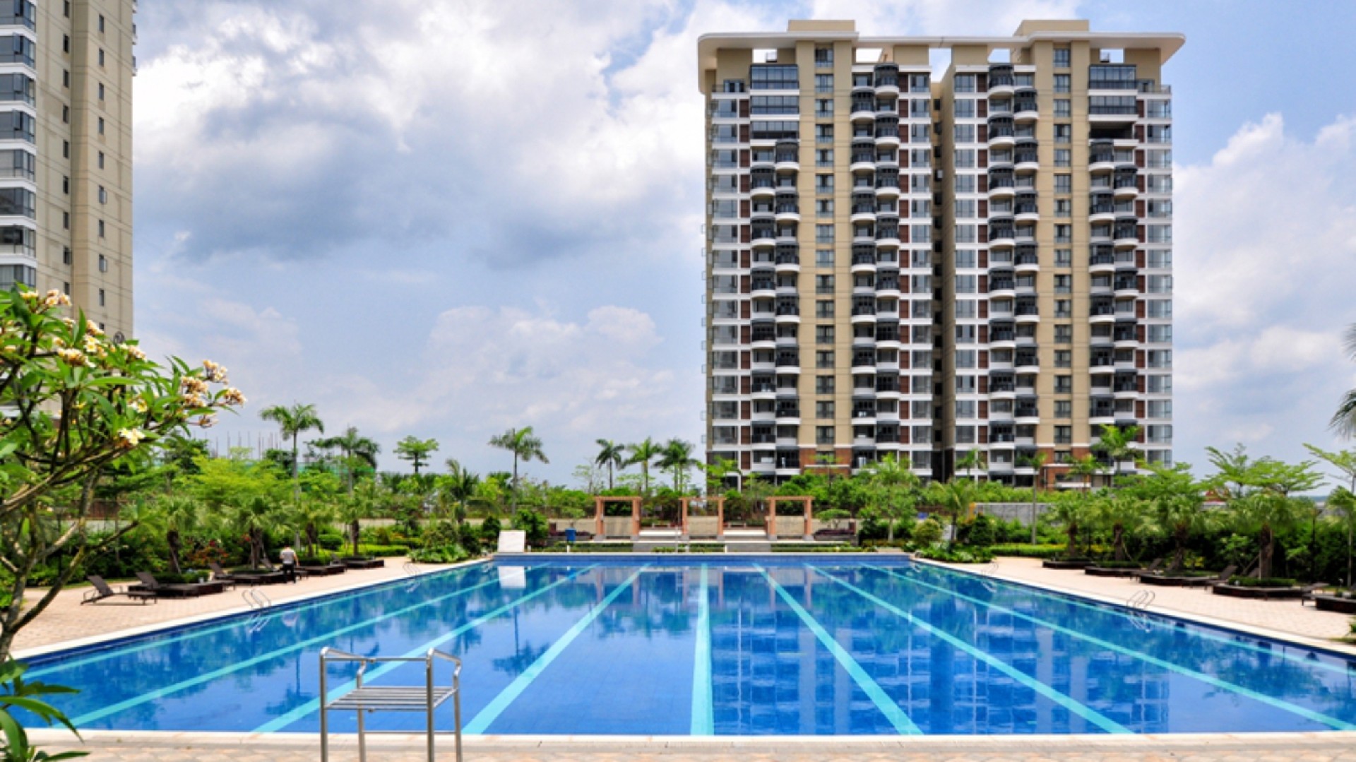 欧美性猛交XXXX乱大交3