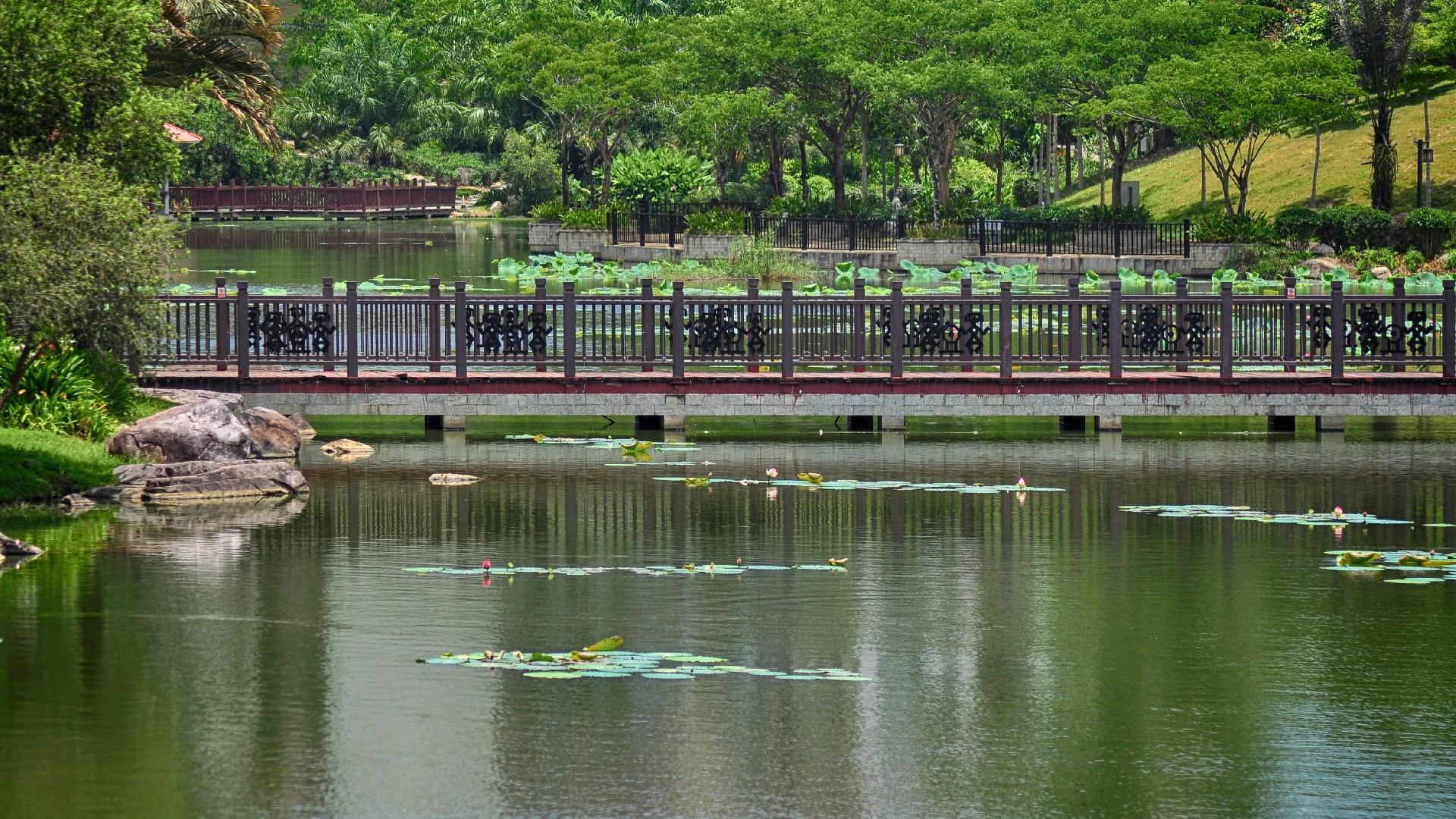 欧美性猛交XXXX乱大交3