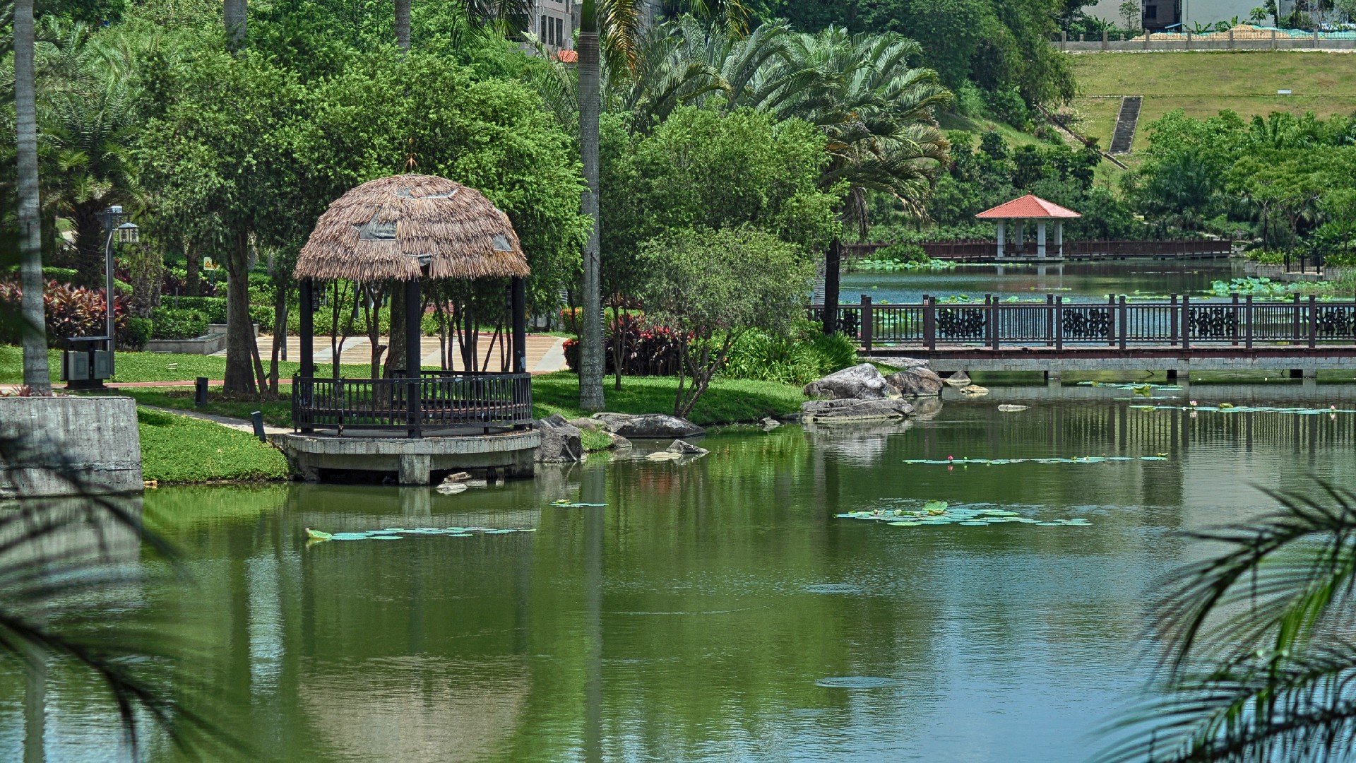 欧美性猛交XXXX乱大交3