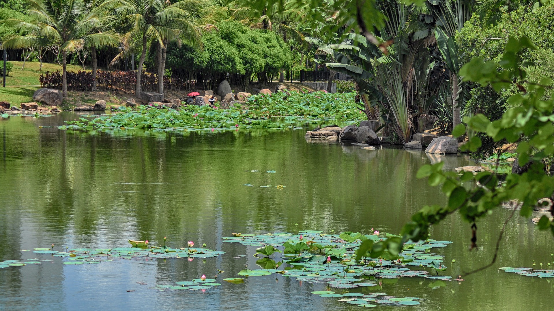 欧美性猛交XXXX乱大交3