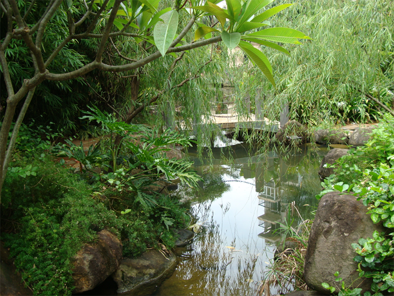 欧美性猛交XXXX乱大交3