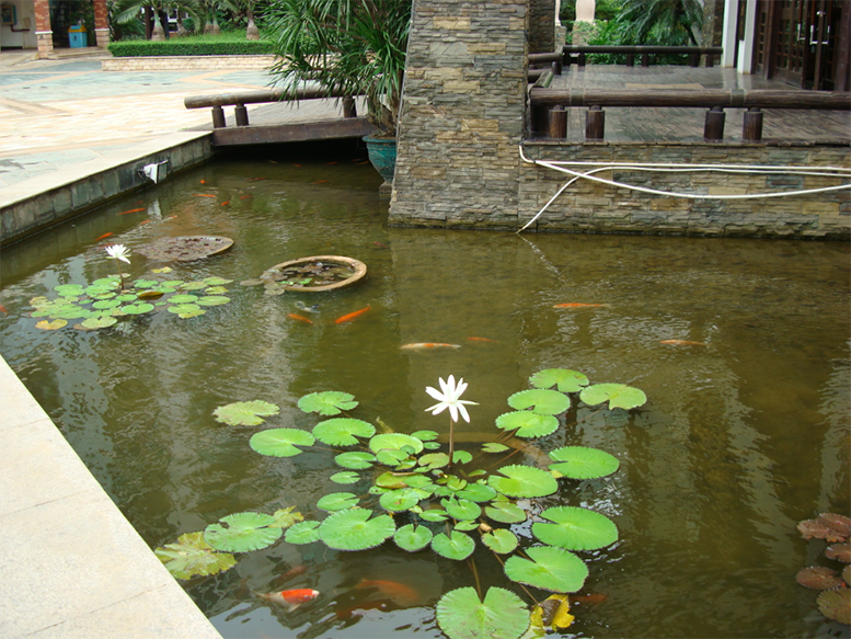 欧美性猛交XXXX乱大交3