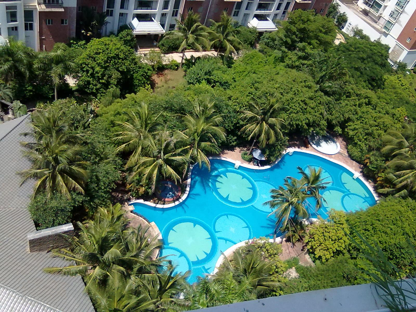 欧美性猛交XXXX乱大交3