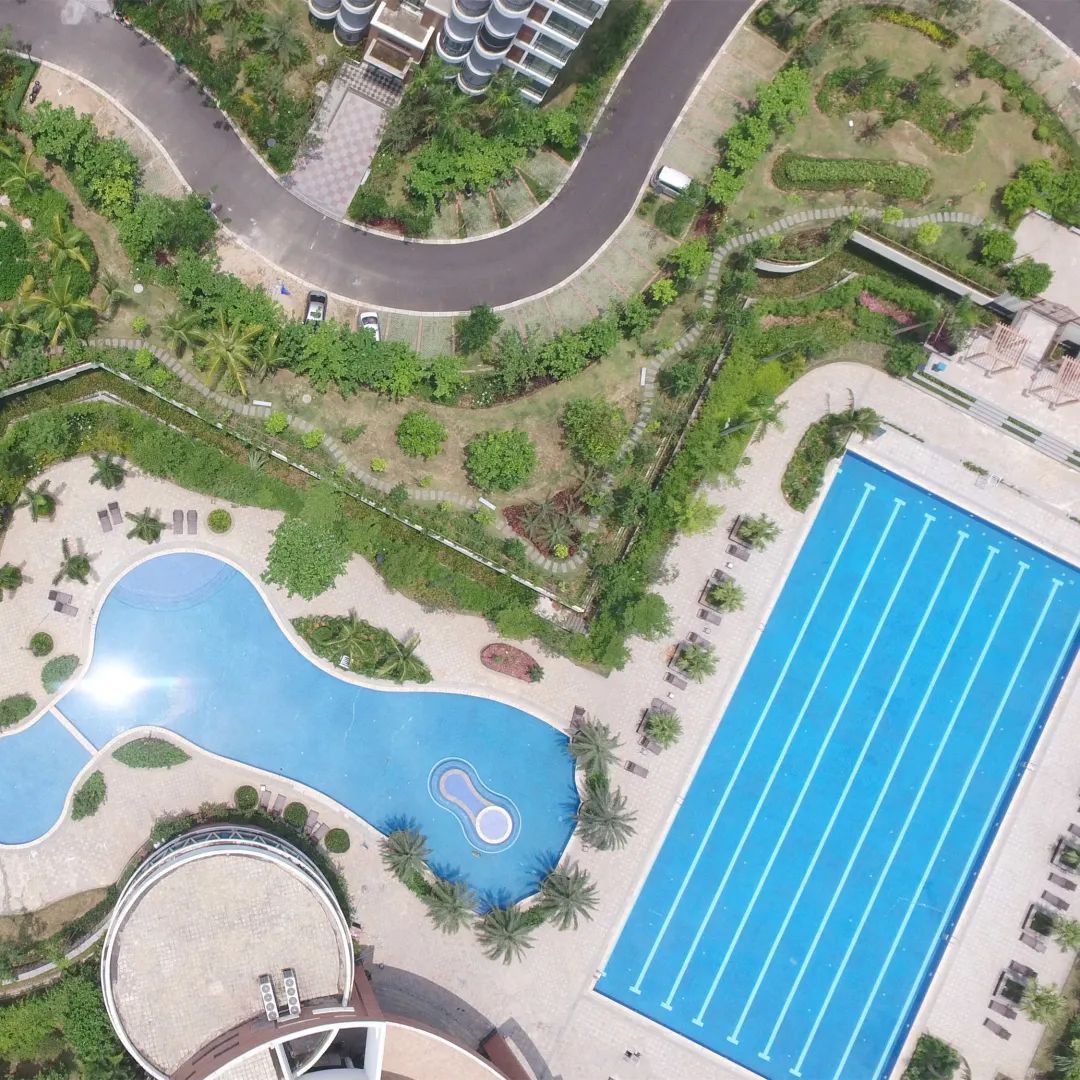 欧美性猛交XXXX乱大交3