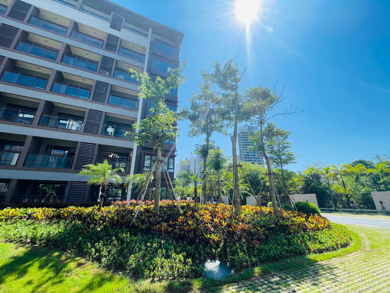 欧美性猛交XXXX乱大交3