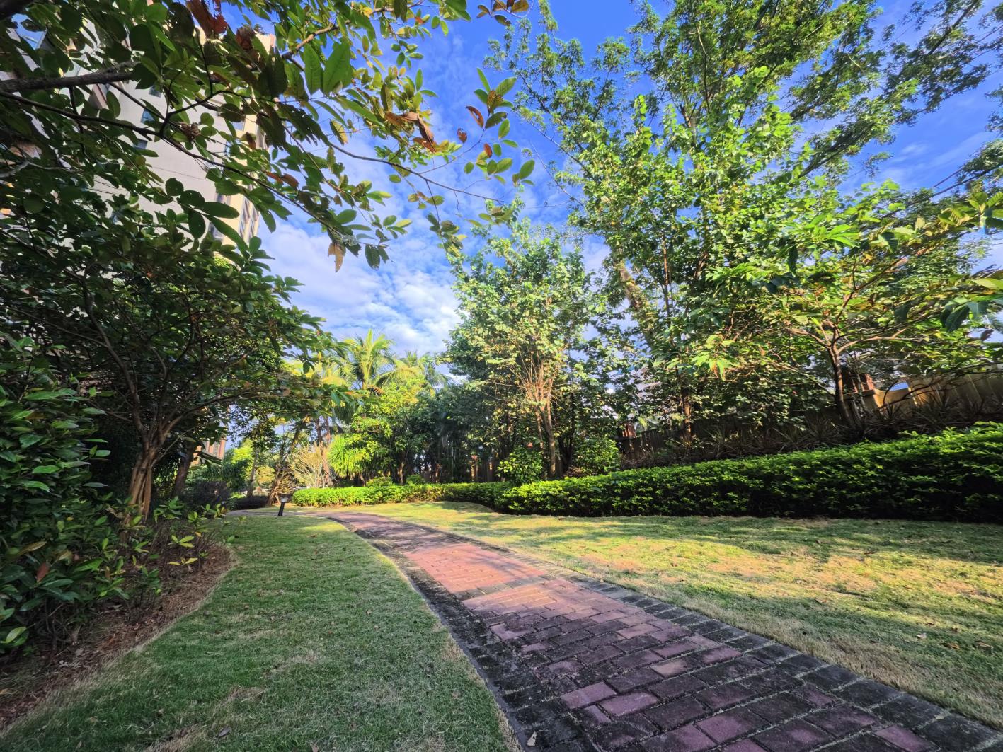 欧美性猛交XXXX乱大交3